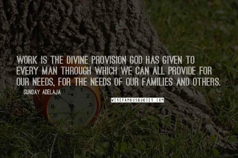 Sunday Adelaja Quotes: Work is the divine provision God has given to every man through which we can all provide for our needs, for the needs of our families and others.