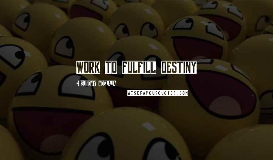 Sunday Adelaja Quotes: Work to fulfill destiny