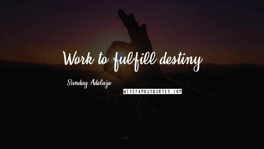 Sunday Adelaja Quotes: Work to fulfill destiny