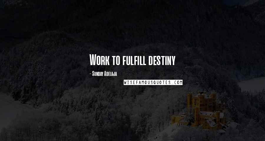 Sunday Adelaja Quotes: Work to fulfill destiny