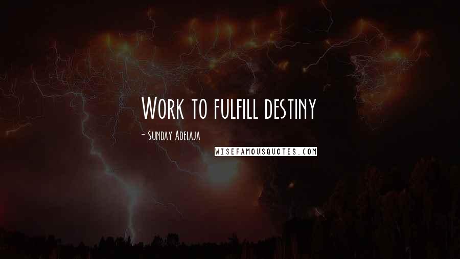 Sunday Adelaja Quotes: Work to fulfill destiny