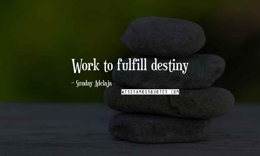 Sunday Adelaja Quotes: Work to fulfill destiny