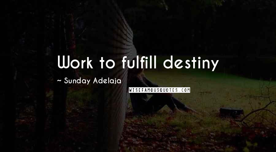 Sunday Adelaja Quotes: Work to fulfill destiny