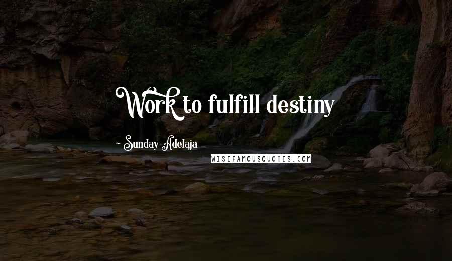 Sunday Adelaja Quotes: Work to fulfill destiny
