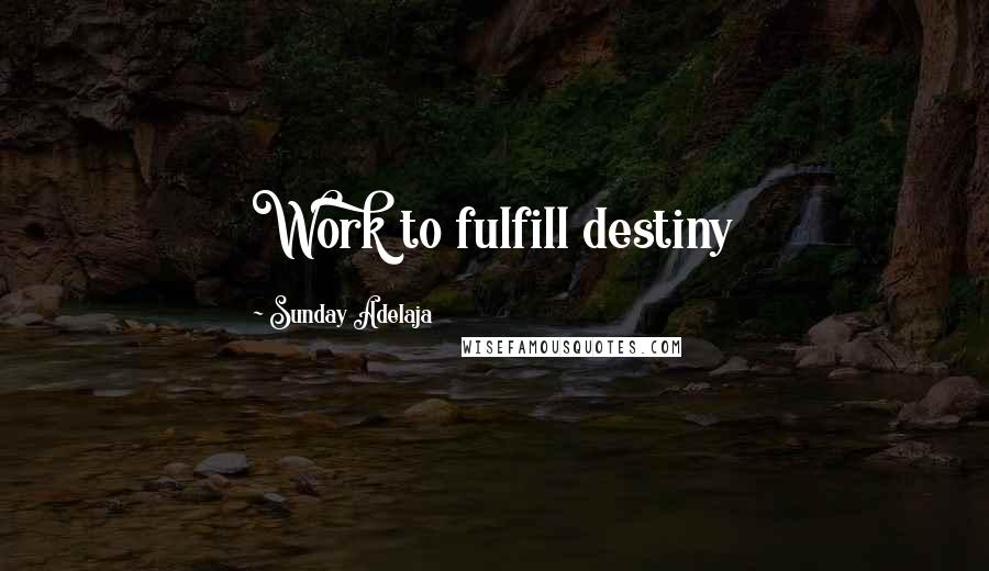 Sunday Adelaja Quotes: Work to fulfill destiny