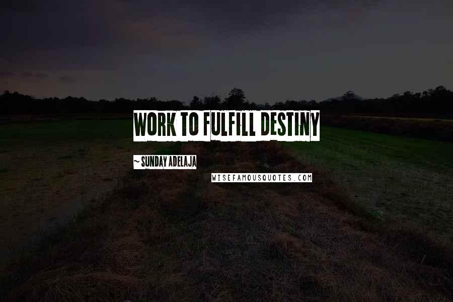 Sunday Adelaja Quotes: Work to fulfill destiny