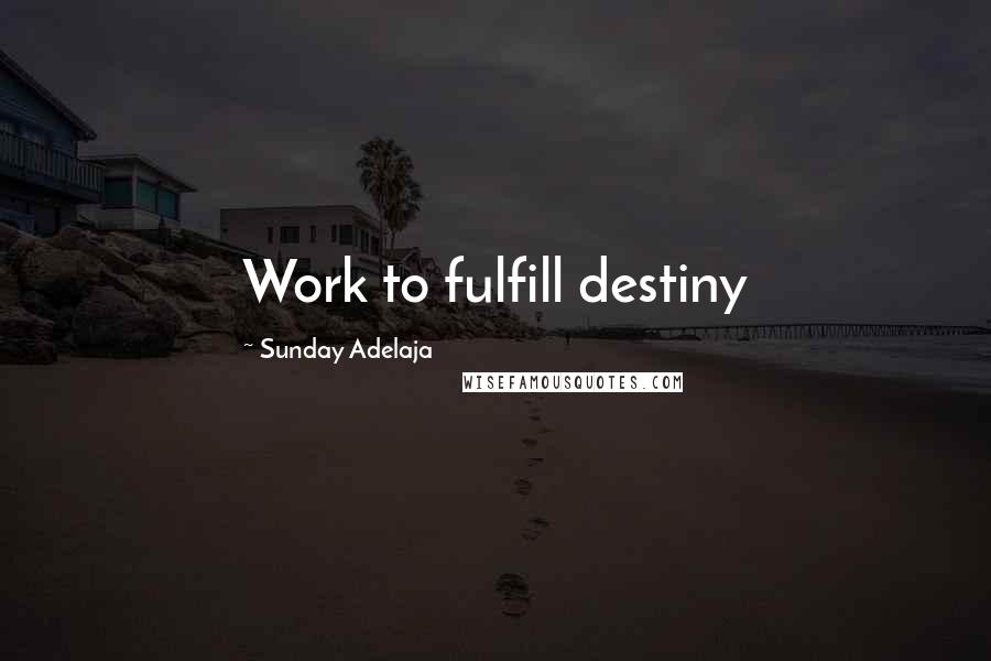 Sunday Adelaja Quotes: Work to fulfill destiny