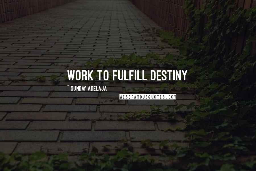 Sunday Adelaja Quotes: Work to fulfill destiny