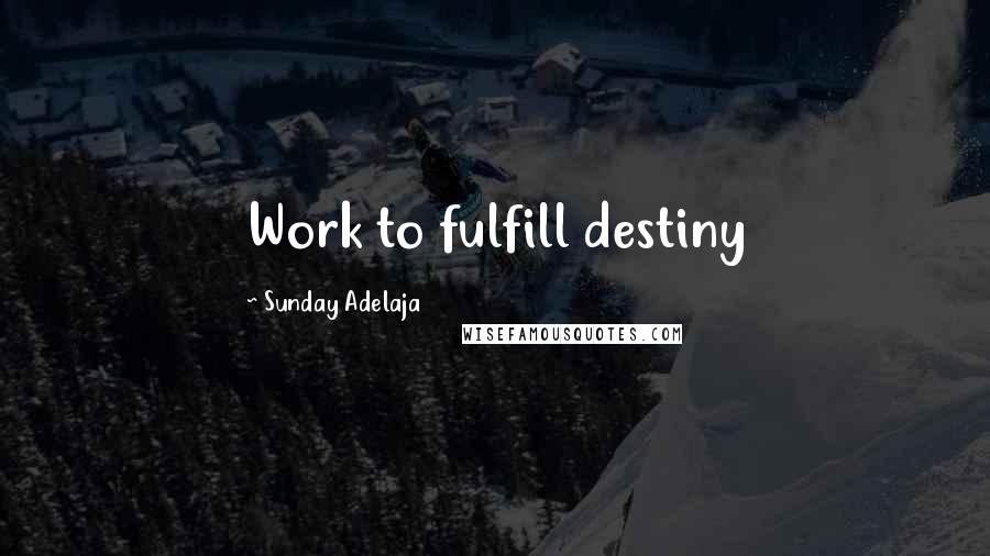 Sunday Adelaja Quotes: Work to fulfill destiny