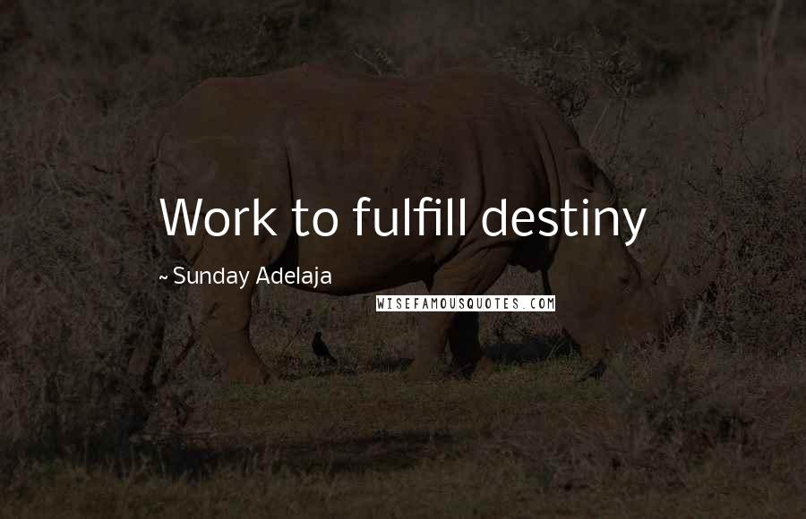 Sunday Adelaja Quotes: Work to fulfill destiny