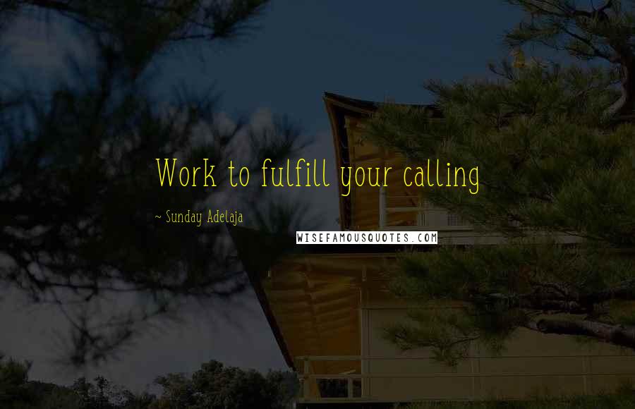 Sunday Adelaja Quotes: Work to fulfill your calling