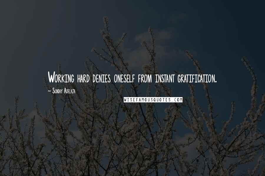 Sunday Adelaja Quotes: Working hard denies oneself from instant gratification.