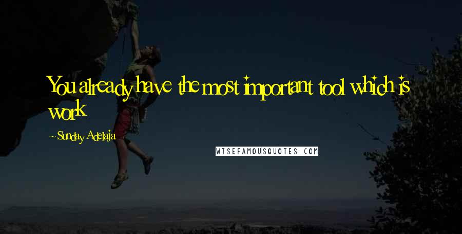 Sunday Adelaja Quotes: You already have the most important tool which is work