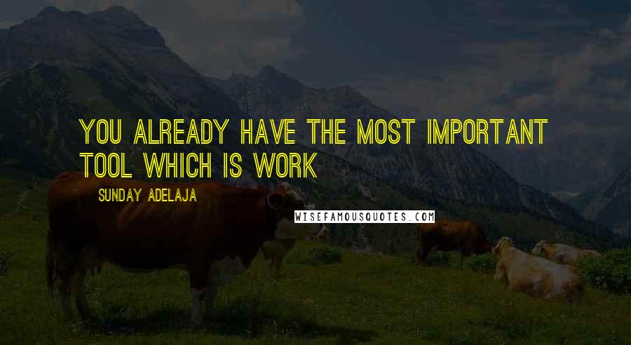 Sunday Adelaja Quotes: You already have the most important tool which is work