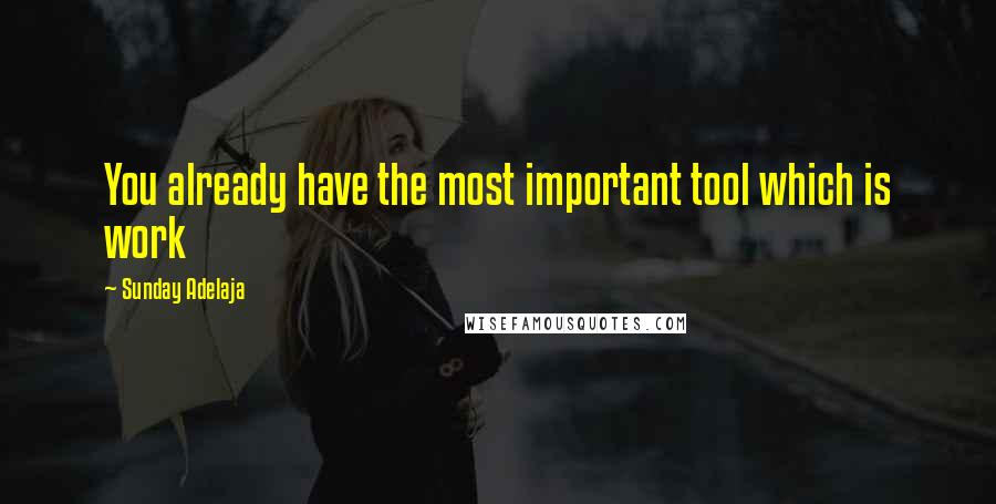 Sunday Adelaja Quotes: You already have the most important tool which is work