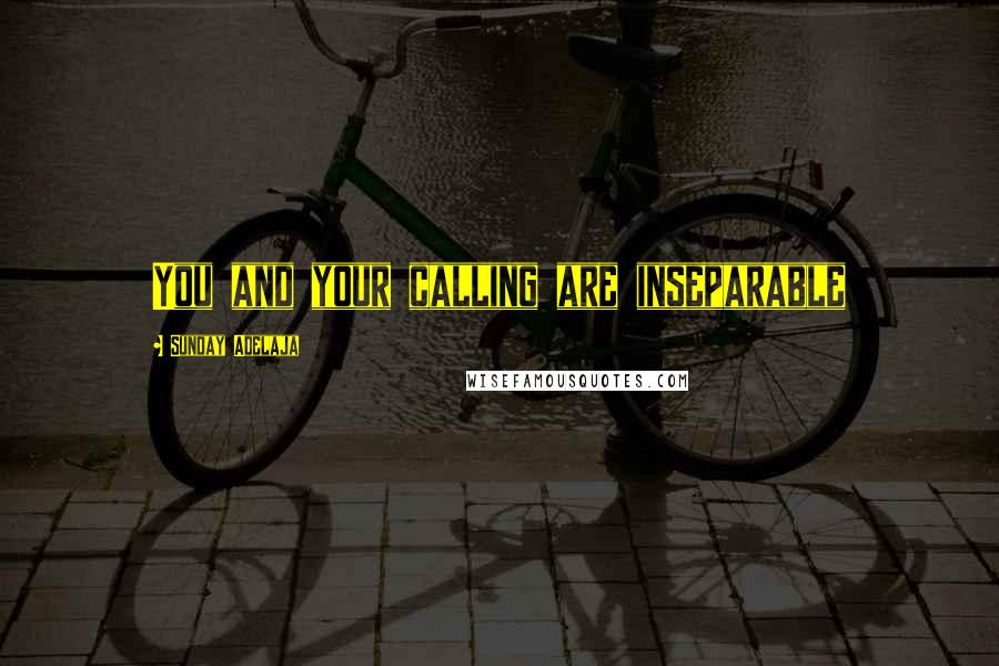 Sunday Adelaja Quotes: You and your calling are inseparable