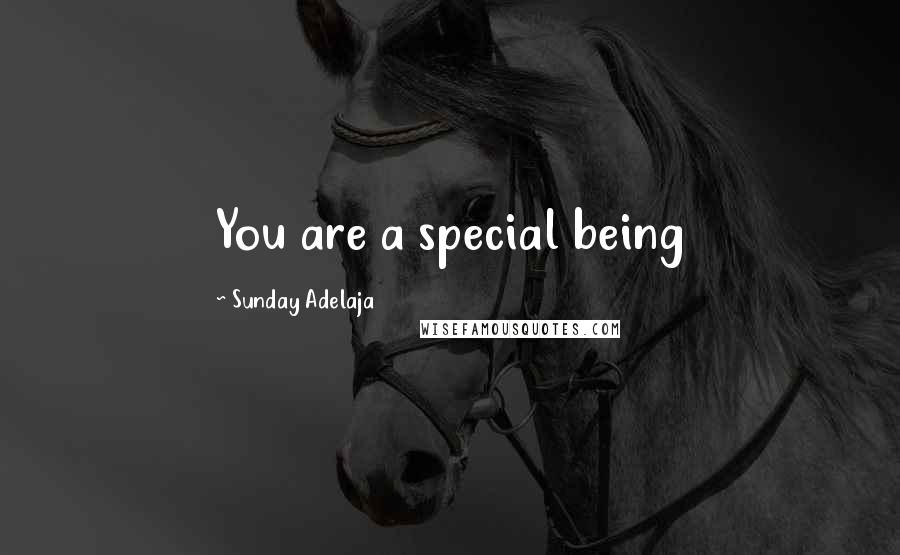 Sunday Adelaja Quotes: You are a special being