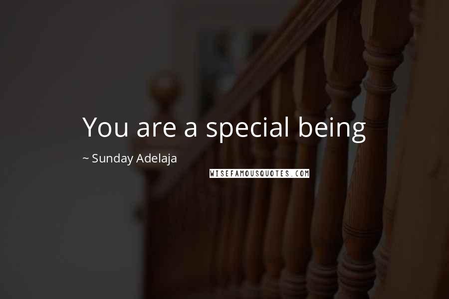 Sunday Adelaja Quotes: You are a special being