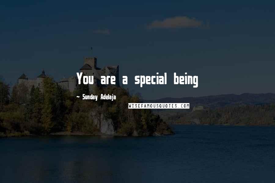 Sunday Adelaja Quotes: You are a special being