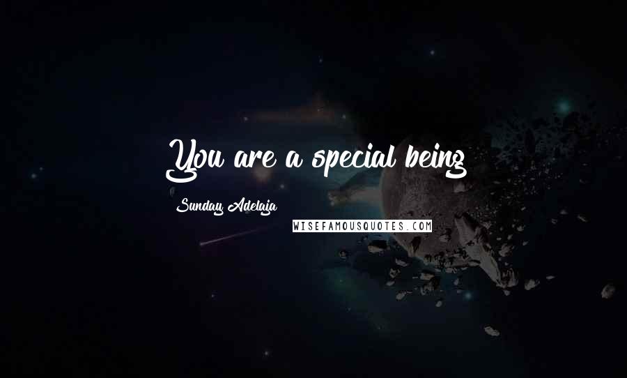 Sunday Adelaja Quotes: You are a special being