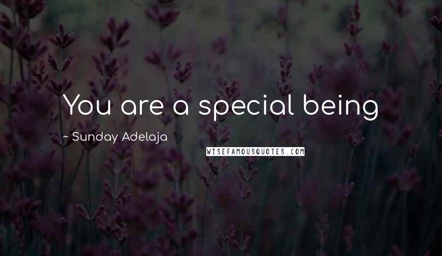 Sunday Adelaja Quotes: You are a special being