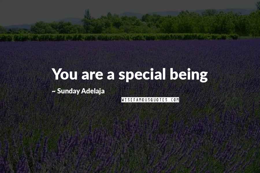 Sunday Adelaja Quotes: You are a special being