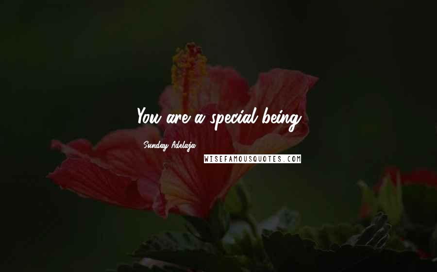 Sunday Adelaja Quotes: You are a special being