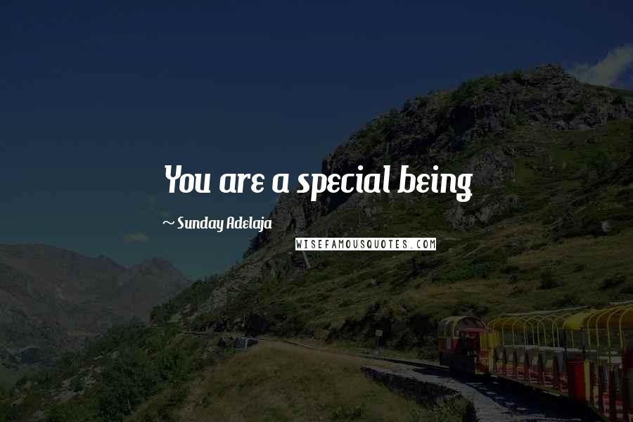 Sunday Adelaja Quotes: You are a special being