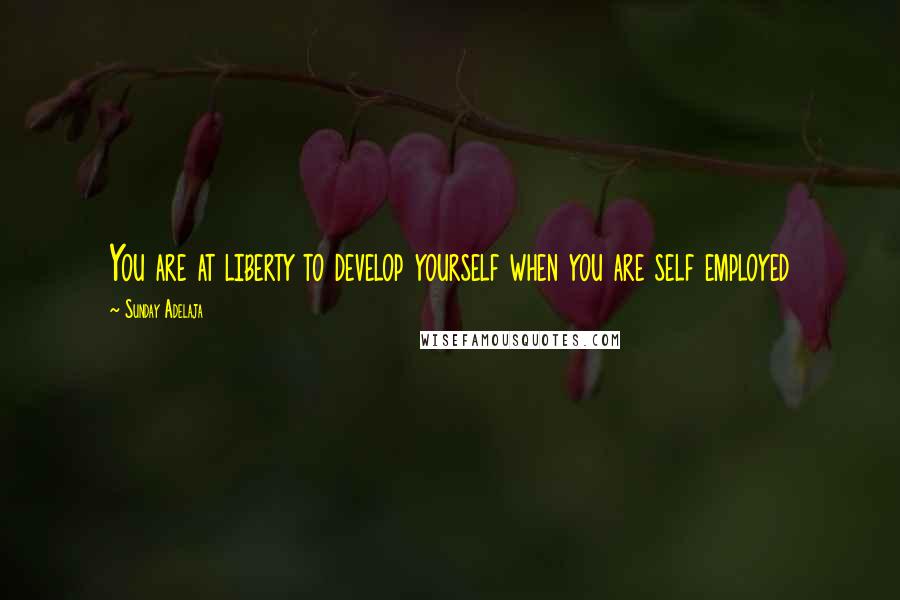 Sunday Adelaja Quotes: You are at liberty to develop yourself when you are self employed