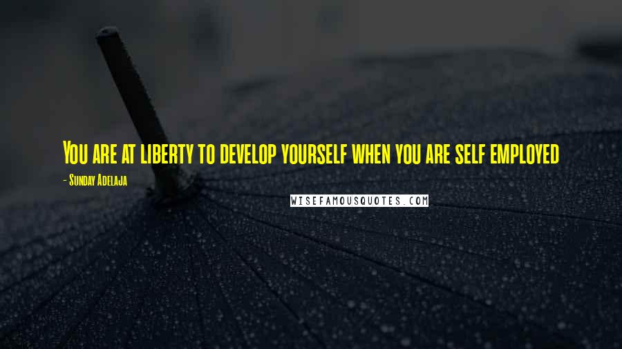 Sunday Adelaja Quotes: You are at liberty to develop yourself when you are self employed