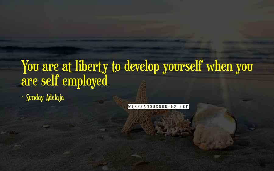 Sunday Adelaja Quotes: You are at liberty to develop yourself when you are self employed