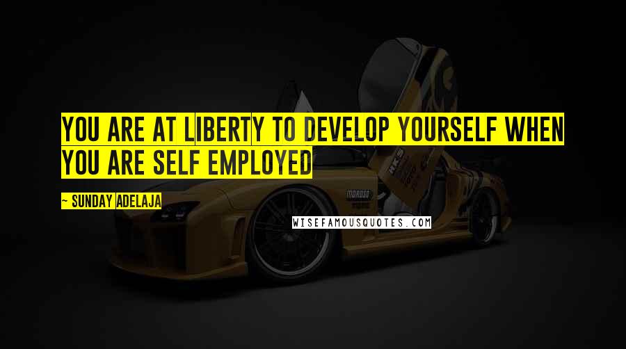 Sunday Adelaja Quotes: You are at liberty to develop yourself when you are self employed