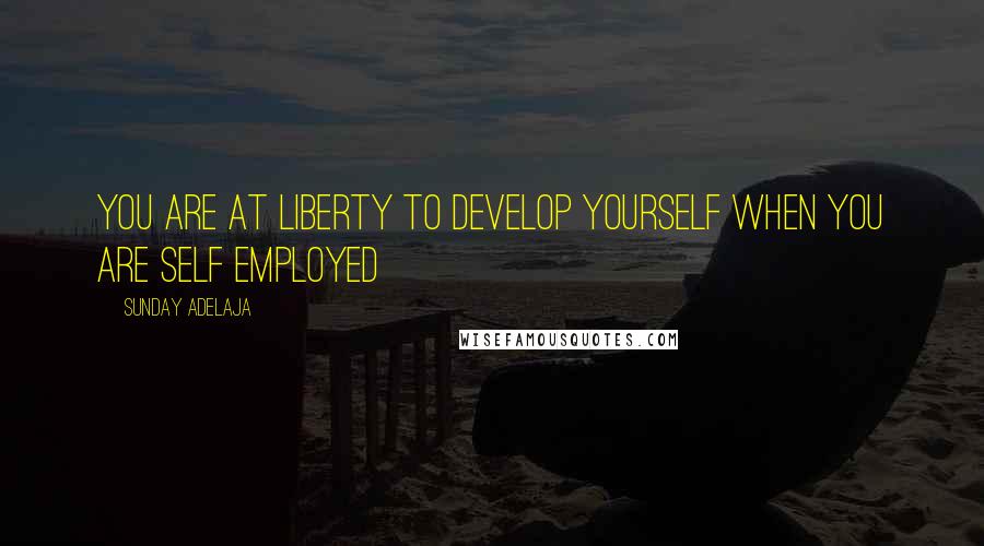 Sunday Adelaja Quotes: You are at liberty to develop yourself when you are self employed