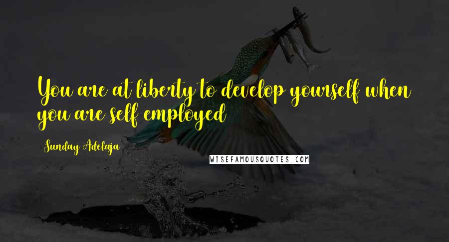 Sunday Adelaja Quotes: You are at liberty to develop yourself when you are self employed