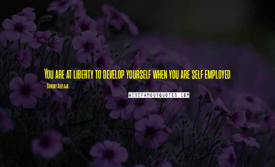 Sunday Adelaja Quotes: You are at liberty to develop yourself when you are self employed