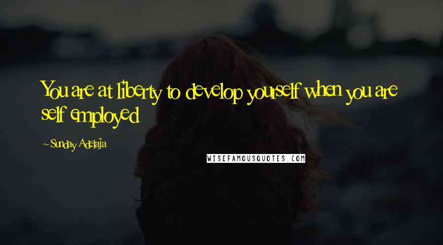 Sunday Adelaja Quotes: You are at liberty to develop yourself when you are self employed