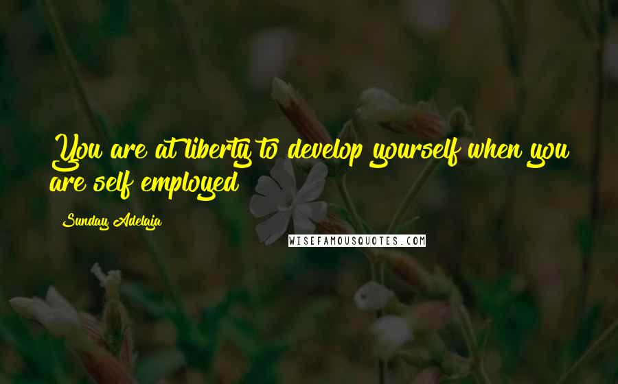 Sunday Adelaja Quotes: You are at liberty to develop yourself when you are self employed