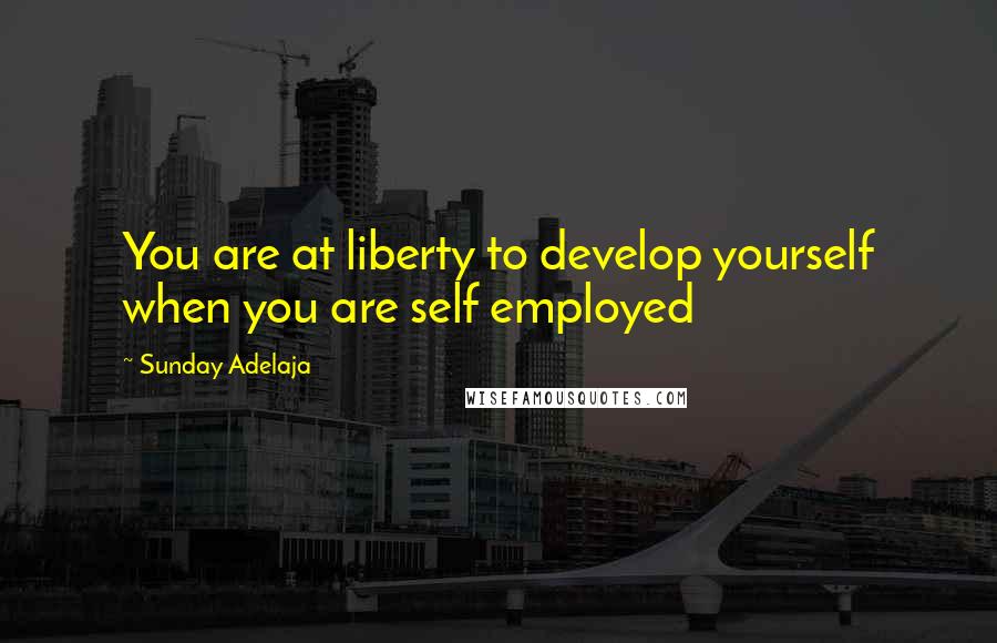 Sunday Adelaja Quotes: You are at liberty to develop yourself when you are self employed