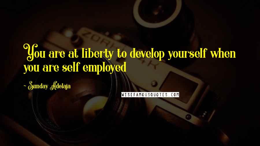 Sunday Adelaja Quotes: You are at liberty to develop yourself when you are self employed