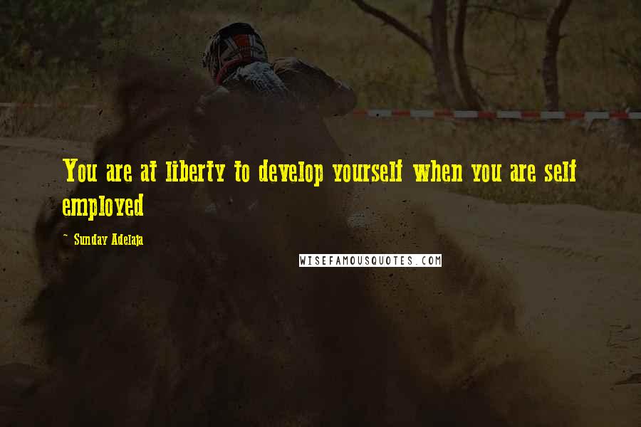 Sunday Adelaja Quotes: You are at liberty to develop yourself when you are self employed