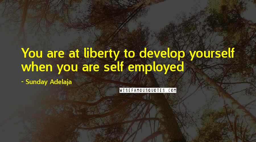 Sunday Adelaja Quotes: You are at liberty to develop yourself when you are self employed