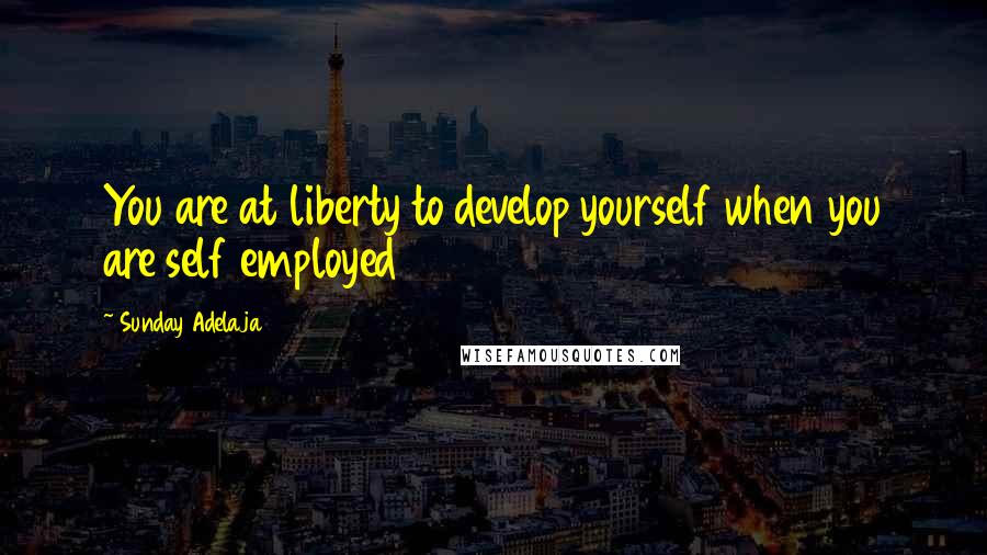 Sunday Adelaja Quotes: You are at liberty to develop yourself when you are self employed