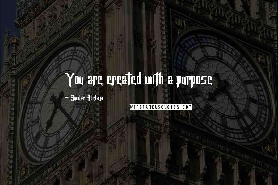 Sunday Adelaja Quotes: You are created with a purpose