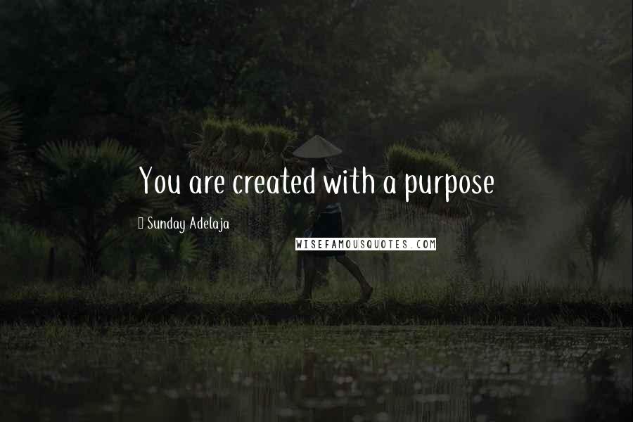 Sunday Adelaja Quotes: You are created with a purpose