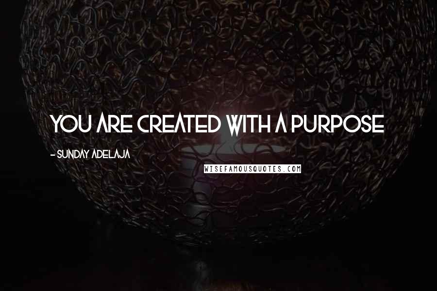 Sunday Adelaja Quotes: You are created with a purpose