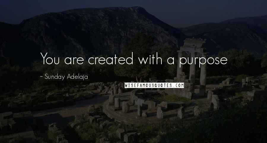 Sunday Adelaja Quotes: You are created with a purpose