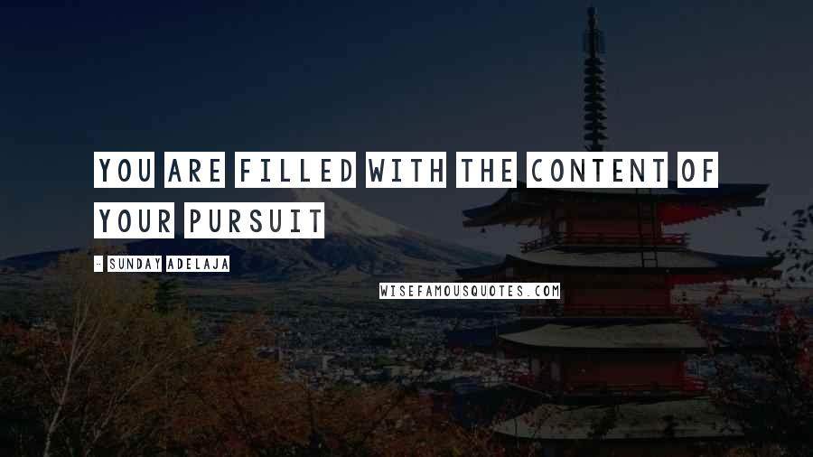 Sunday Adelaja Quotes: You Are Filled With The Content Of Your Pursuit