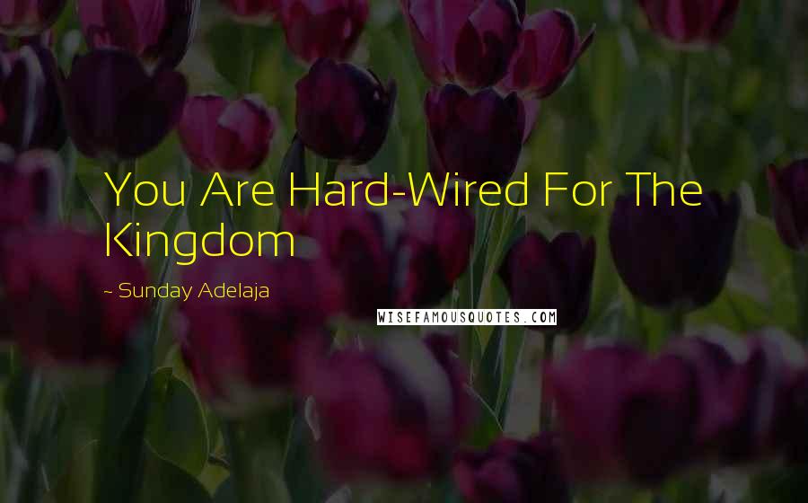 Sunday Adelaja Quotes: You Are Hard-Wired For The Kingdom