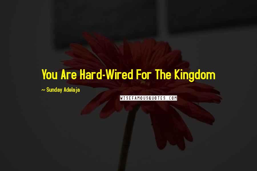 Sunday Adelaja Quotes: You Are Hard-Wired For The Kingdom
