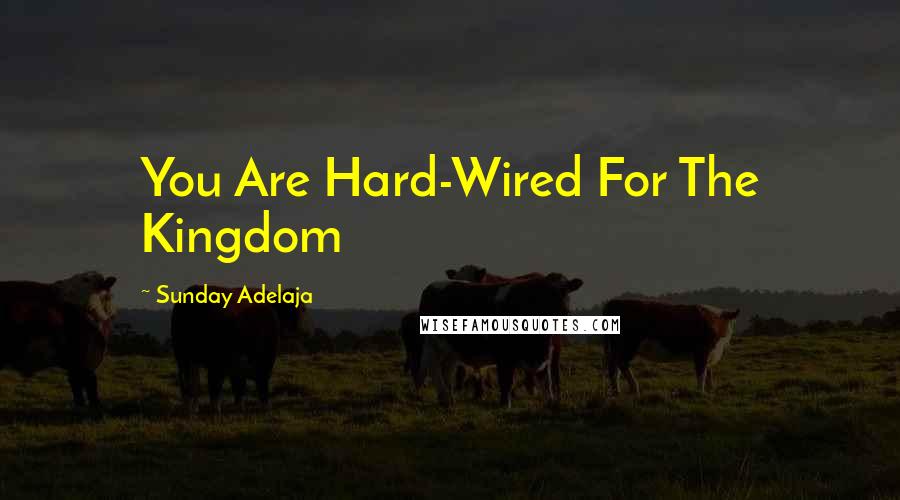 Sunday Adelaja Quotes: You Are Hard-Wired For The Kingdom